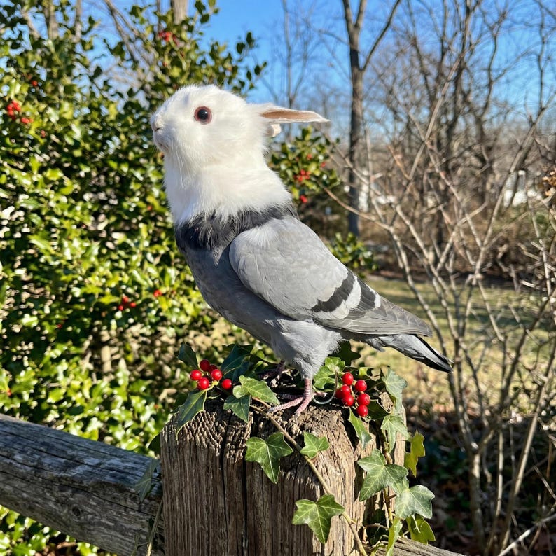 Pu&ograve; includere: Un bizzarro uccello decorativo con testa di coniglio bianca e corpo grigio, appollaiato su un palo di legno. L'uccello ha una testa bianca soffice, ali grigie e una striscia nera sulla schiena. Bacche rosse e foglie verdi adornano il palo.