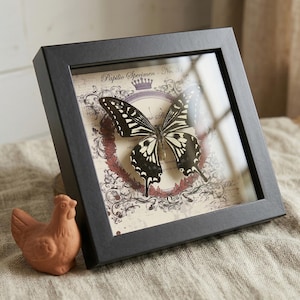 May include: A framed butterfly specimen with a black frame. The butterfly has black and white markings and is displayed on a vintage-style background with text that reads "Papilio Specimen - No. 34". A small terracotta chicken figurine is in the foreground.