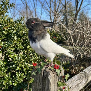 Pu&ograve; includere: Una scultura stravagante di un ibrido coniglio-uccello appollaiato su un palo di legno. La creatura ha una testa di coniglio nera e grigia con occhi rossi e un corpo di uccello bianco. Il palo &egrave; decorato con edera e bacche rosse, sullo sfondo di verde e cielo blu.