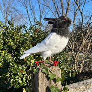 Pu&ograve; includere: Una scultura unica di un uccello con la testa di un coniglio, appollaiata su un palo di legno. Il corpo dell'uccello &egrave; bianco, con testa e collo neri. Bacche rosse e foglie verdi adornano il palo, sullo sfondo di alberi e cielo azzurro.