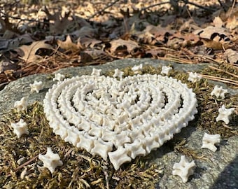 Vere ossa di vertebre di serpente - Tassidermia etica / Curiosità sulla cultura degli avvoltoi / Forniture di gioielli in osso con decorazioni gotiche