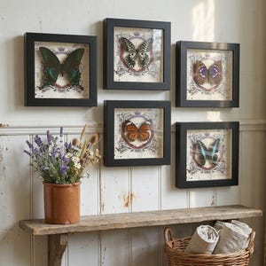 Taxidermie de vrais papillons dans un cadre en bois - Queue de machaon émeraude, Empereur violet, Triangle bleu | Décoration murale artistique entomologique | Sac cadeau