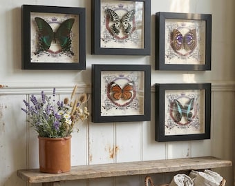 Echte vlindertaxidermie in houten lijst - smaragdgroene zwaluwstaart, paarse keizer, blauwe driehoek | Entomologie kunst muurdecoratie | Cadeauzakje