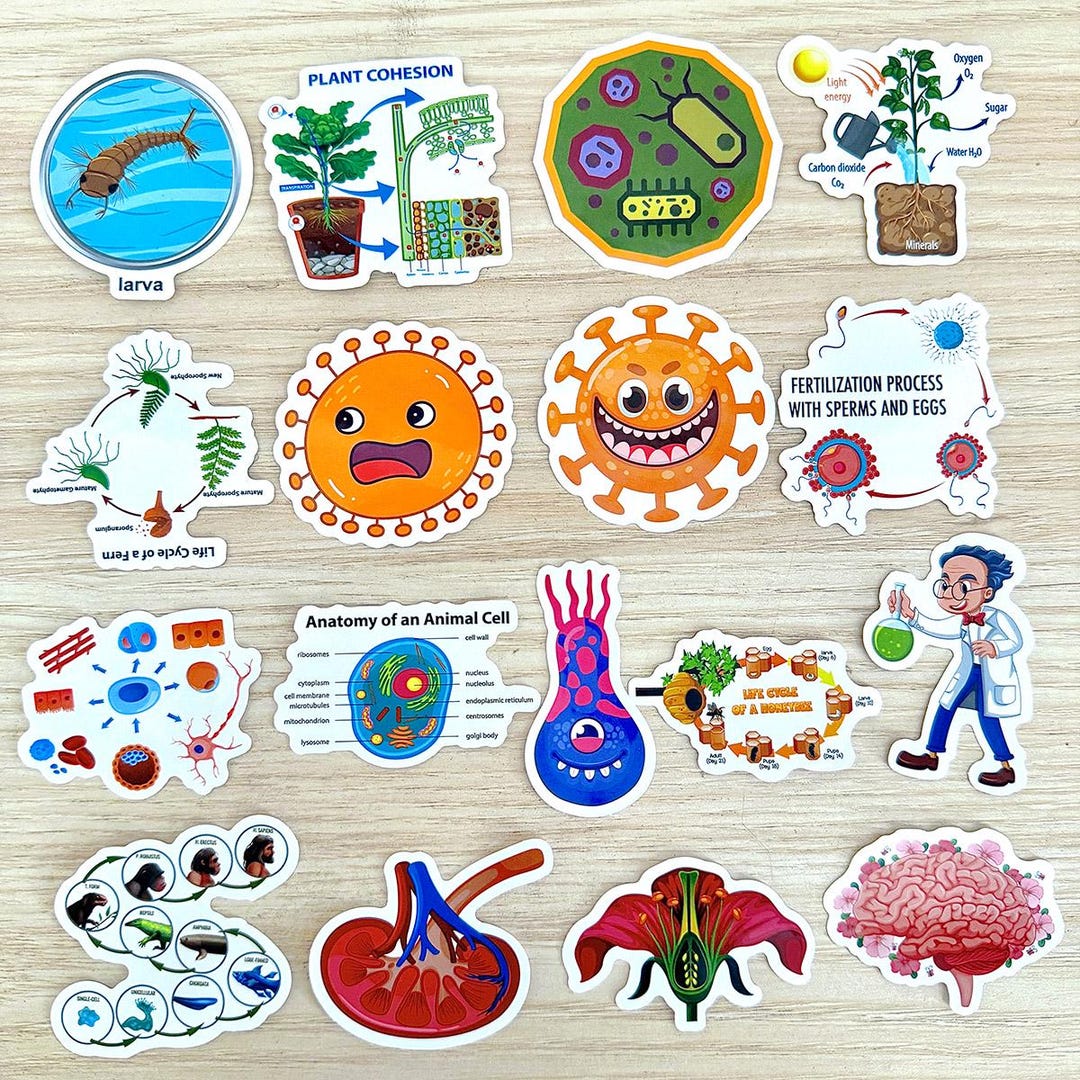 Science Sticker Pack, Biology Anatomy STEM Stickers, Educational Cell ...