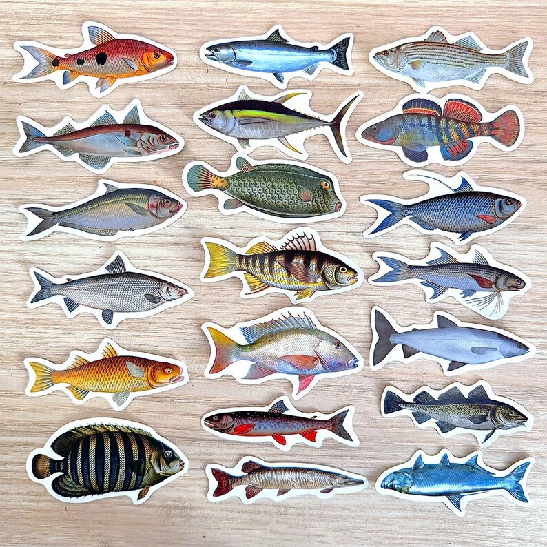 50pcs Realistic Fish Sticker Pack, Waterproof Fishing Decals for Laptop ...