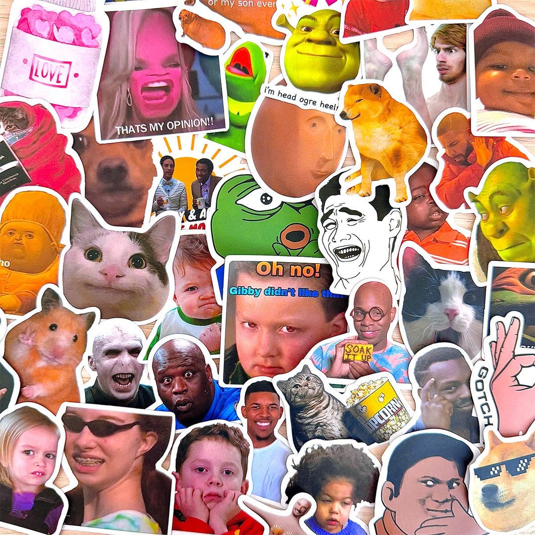 50pcs Funny Meme Sticker Pack, Internet Reaction Vinyl Decals for ...