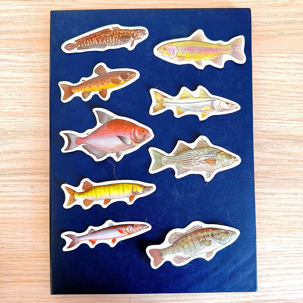 Fish Sticker Image 50pcs Realistic Fish Sticker Pack, Waterproof Fishing Decals for Laptop ...