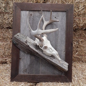 Custom Made Deer Skull Barnwood/Fence Post Mounting Plaque