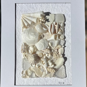 May include: A rectangular wall art piece featuring a dense collage of white and off-white seashells, coral fragments, and smooth sea glass pieces arranged on a textured white paper background. The name Beck is handwritten in the bottom right corner.