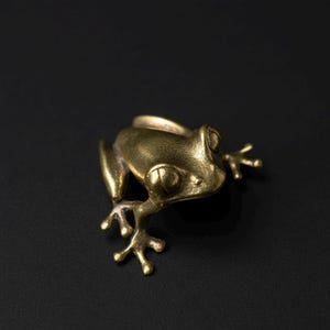 Könnte beinhalten: Detaillierte Froschfigur aus Messing mit großen Augen und ausgestreckten Gliedmaßen. Der Frosch hat eine warme, goldene Farbe und sitzt auf einer dunklen Oberfläche. Die Figur ist ein dekoratives Objekt.