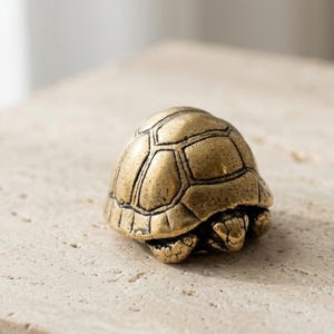 Puede incluir: Una pequeña figura de tortuga de latón macizo con un patrón de caparazón segmentado y detallado. El metal tiene un acabado marrón dorado desgastado con textura visible en la superficie del caparazón y las pequeñas extremidades retraídas.