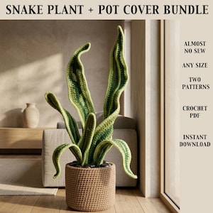 May include: A crochet snake plant and pot cover bundle. The plant features green and yellow leaves in a woven pot. Text on the image reads "Almost No Sew, Any Size, Two Patterns, Crochet PDF, Instant Download."