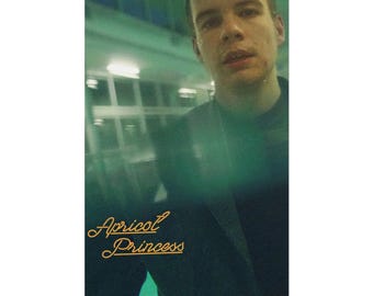 Rex Orange County - apricot princess Premium Matte Poster, Music Merch, Tour merch Birthday Gift