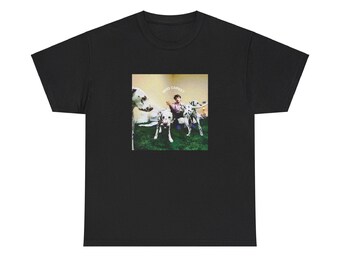 REX ORANGE COUNTY - who cares Premium Unisex T-shirt, Music Merch, Tour merch Birthday Gift