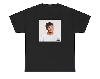 REX ORANGE COUNTY - pony Premium Unisex T-shirt, Music Merch, Tour merch Birthday Gift