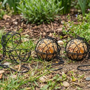 May include: Black metal bird feeders with a spherical cage design. The feeders are filled with birdseed and are hanging from chains. One feeder is open, revealing a small bowl. The feeders are set in a garden with green grass and brown mulch.