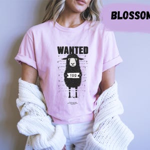 May include: A light pink t-shirt with the word "WANTED" above a cartoon black sheep with a "100" sign. The shirt is worn with white pants and a cream-colored sweater.