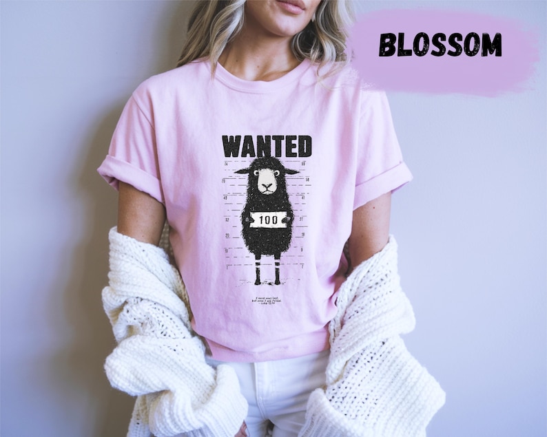 May include: A light pink t-shirt with the word "WANTED" above a cartoon black sheep with a "100" sign. The shirt is worn with white pants and a cream-colored sweater.