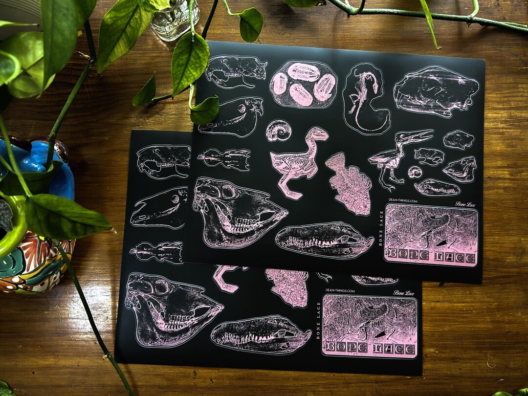 Bone Inlay Sticker Bone Lace Large Sticker Sheet - 18 Original Sticker Designs! - Etsy