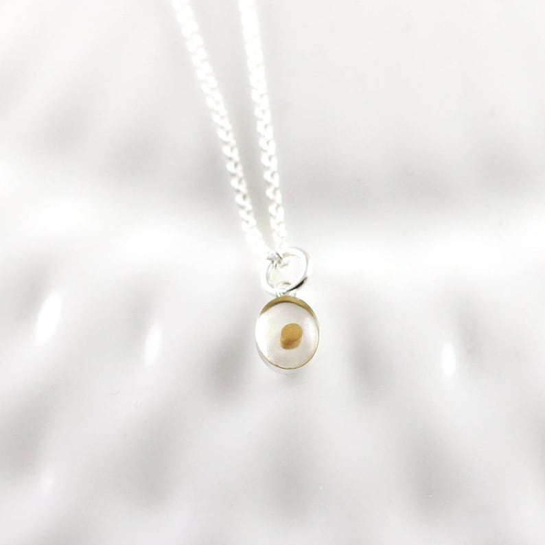May include: A silver necklace with a small, clear pendant containing a mustard seed. The pendant is oval-shaped with a gold-colored rim. The chain is a delicate silver link.
