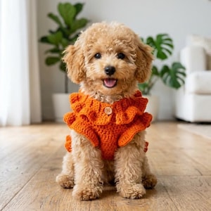May include: A small, light brown dog wearing an orange crochet outfit with ruffled edges and a button closure. The dog is sitting on a wooden floor, with green plants in the background.
