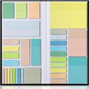 May include: A collection of adhesive sticky notes organized in a black folder. The set includes various rectangular and square shapes in pastel shades of yellow, green, blue, peach, and gray, arranged in multiple columns and rows on two sides.