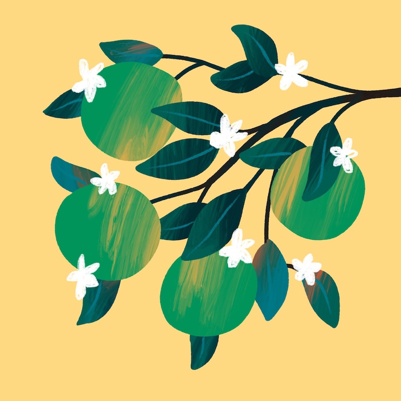 Lime Citrus Art Print