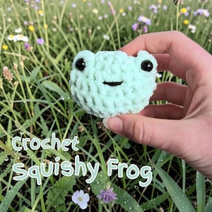 May include: A light green crochet frog with black eyes and a stitched mouth. The text "Crochet Squishy Frog" is written in a whimsical font. The frog is held in front of a background of green grass and wildflowers.