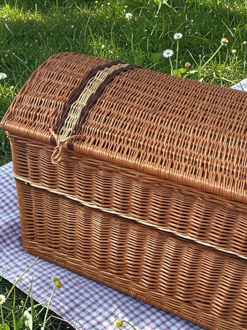 May include: A brown wicker picnic basket with a domed lid, set on a checkered blanket. The basket features a woven design with a decorative band of brown and beige. The basket is on a bed of green grass.