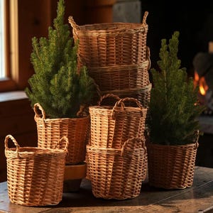 May include: Several woven wicker baskets of different sizes, some containing small evergreen trees. The baskets are a warm brown hue and feature handles. The arrangement is on a wooden table, giving a rustic, natural feel.