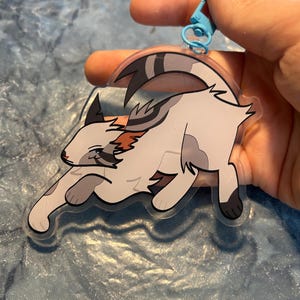 Op de afbeelding: Een heldere acryl kattenbedel met een blauwe sluiting. De kat is wit met grijze en bruine markeringen en bevindt zich in een speelse pose. De bedel wordt door een hand tegen een blauwe achtergrond gehouden.
