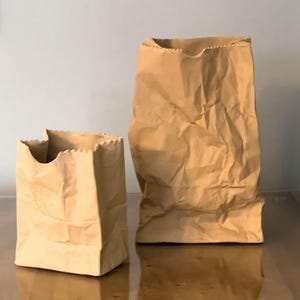 May include: Two brown paper bags of different sizes. The bags have a crinkled texture and a jagged edge at the top. One bag is taller and more upright, while the other is shorter and wider.