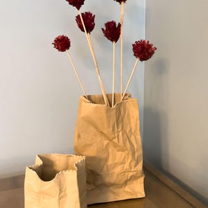 May include: Two brown paper bags, one large and one small, sit on a reflective surface. The larger bag holds several dried, burgundy-colored flower stems. The background is a light blue wall.
