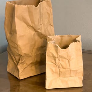 May include: Two brown paper bags of different sizes, with crumpled textures and open tops. The bags are standing on a reflective surface, with a neutral-colored wall in the background. The bags have a classic, simple design.