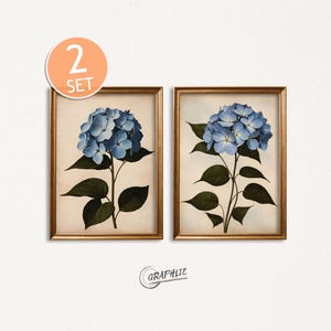May include: Two framed prints featuring blue hydrangea flowers with green leaves and stems. The prints are in gold frames and set against a cream-colored background. The top left corner has a sticker that says "2 SET".