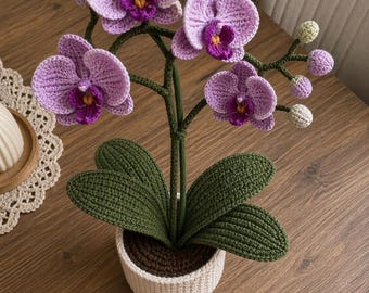 Gehaakt orchideepatroon pdf, realistische ingemaakte phalaenopsisbloem, amigurumi-plantdecor, botanisch cadeau, digitale download