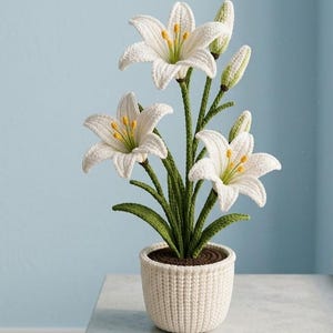 Peut inclure: Une plante de lys blancs crochetée dans un pot crème. Les fleurs ont des étamines jaunes et des tiges et feuilles vertes. Le pot est rempli de terre brune et repose sur une surface grise sur fond bleu clair.