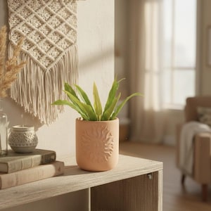 May include: A cylindrical terracotta-coloured planter featuring a raised, embossed sun face design on the front. The planter holds a vibrant green plant with pointed leaves, positioned on a wooden surface next to stacked books and a small candle.