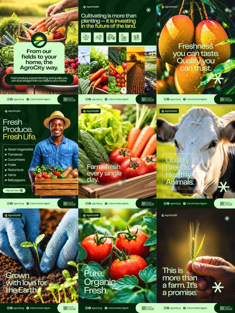 Agricola - Agriculture and Organic Farm WordPress Theme download image 4