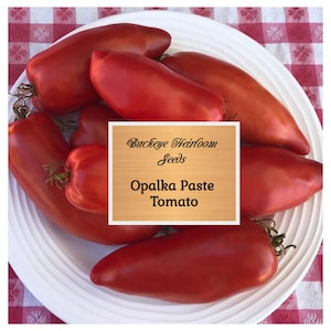 Opalka Paste Tomato Seeds - Non-GMO - Heirloom - Buckeye Heirloom Seeds