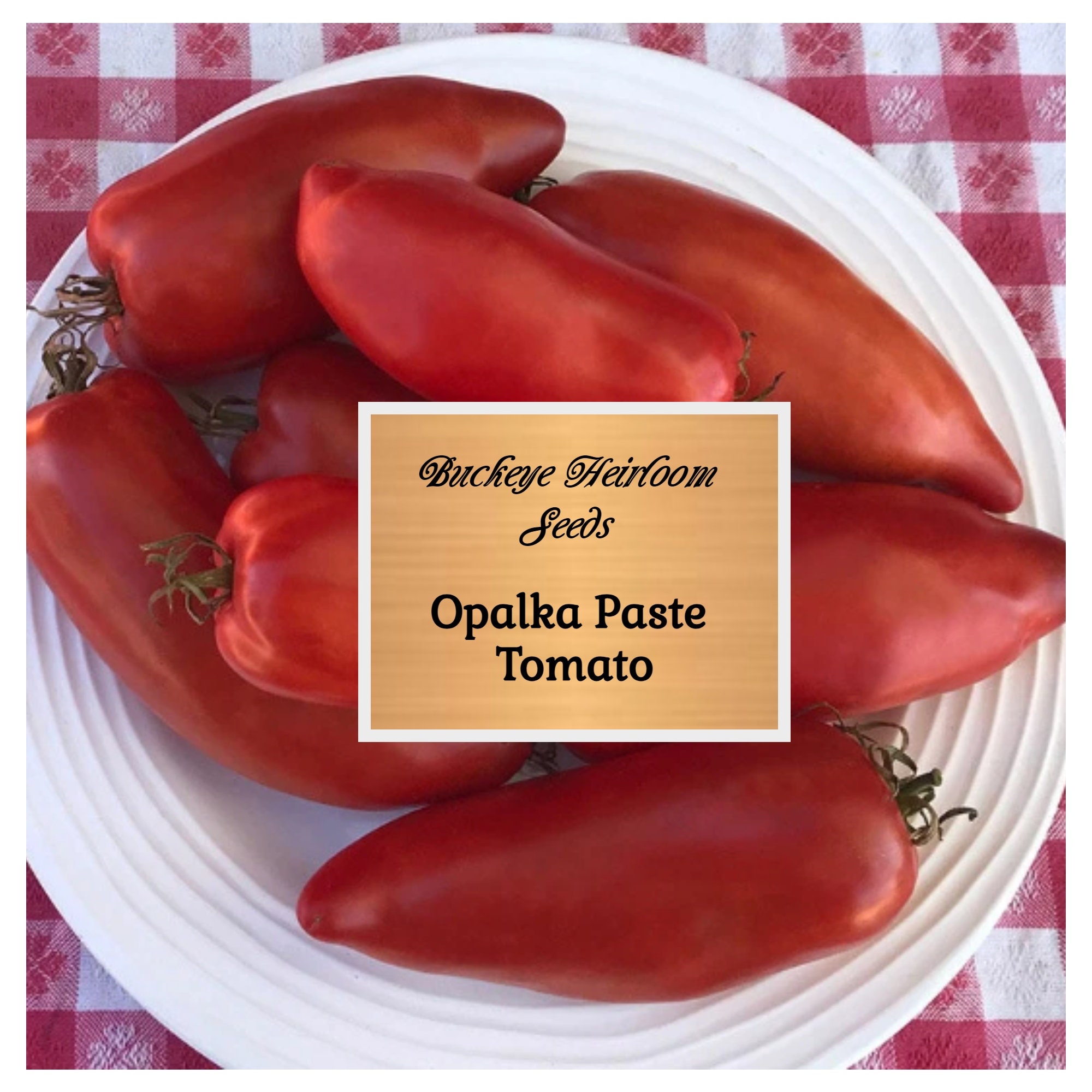 Opalka Paste Tomato Seeds | Heirloom - Murray Seed Co