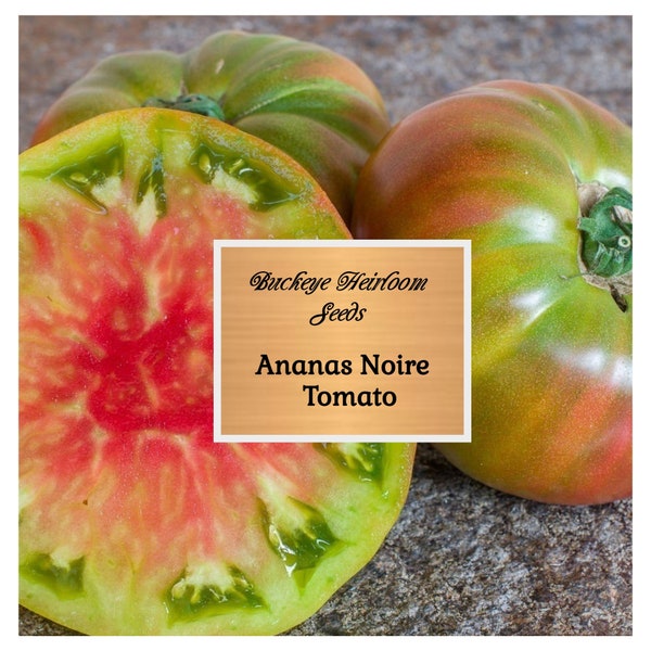 Tomato - Ananas Noire - Seeds - AKA Black Pineapple -  NON-Gmo - Heirloom - Buckeye Heirloom Seeds