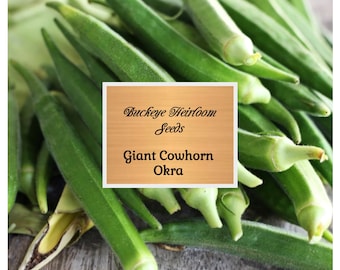 Cuerno de vaca gigante - Semillas de okra - Reliquia - Sin OMG - Fácil de cultivar - Abelmoschus esculentus - Semillas de castaño de Indias