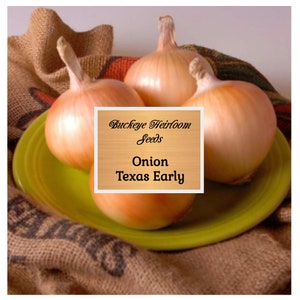 Onion Texas Early Grano Seeds - Grow Non Gmo  - Buckeye Heirloom Seedseirloom - Buckeye Heirloom Seeds