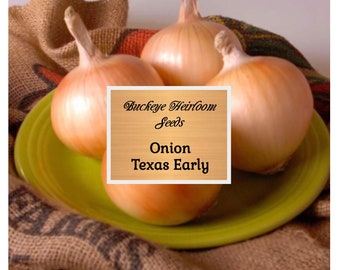 Onion Texas Early Grano Seeds - Grow Non Gmo  - Buckeye Heirloom Seedseirloom - Buckeye Heirloom Seeds