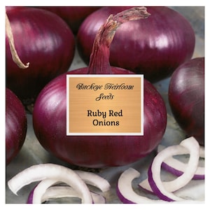 May include: Close-up of several whole Ruby Red onions and onion slices. The onions are a deep purple color with a papery skin. A label reads "Buckeye Heirloom Seeds" and "Ruby Red Onions."