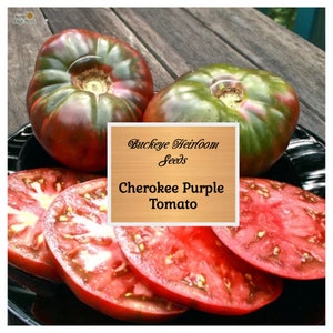 Tomato, Cherokee Purple - Heirloom Seeds - Non-GMO (Solanum lycopersicum)