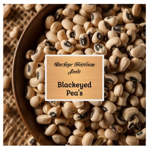 Peas - California Blackeye - Cowpeas - 50 Seeds - Heirloom - GMO Free - Sow Spring to Fall (Vigna unguiculata)