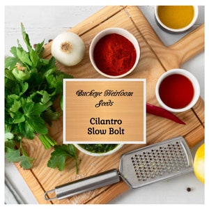 Cilantro Slow Bolt - Calypso - Heirloom - Seeds - Culinary & Healing Herb (Coriandrum sativum)