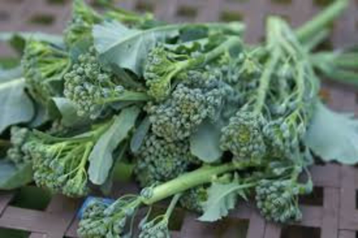 Broccoli De Cicco 200 Seeds Italian Heirloom Non GMO Etsy